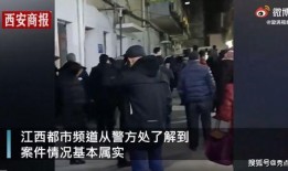 安义欺凌学生爆料视频最新,揭开校园暴力黑幕，正义之声亟待响起